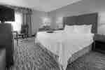 Visit The Hampton Inn Franklin Kentucky Hotel   Kingstandard 1921 