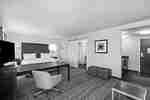 Hampton Inn Houston West Park Row Hotel Accommodations