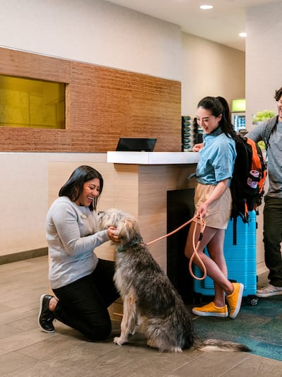 Hotel worker on the floor interacting with a couple's dog
