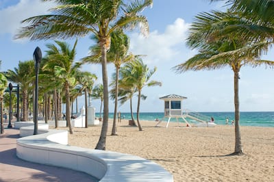 Fort Lauderdale Beach Wave Wall and Palm Trees