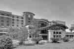 Embassy Suites By Hilton Savannah Airport Hotel