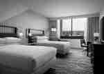 Hotels Near Angel Stadium Hotel Fera Anaheim a DoubleTree by Hilton